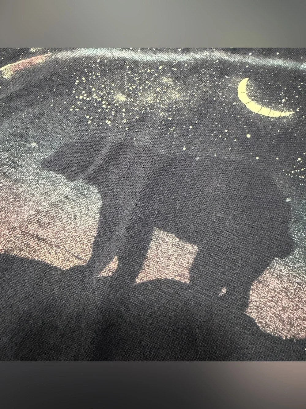 Vintage Alaskan Aurora Northern lights graphic print Crop top t- shirt USA
